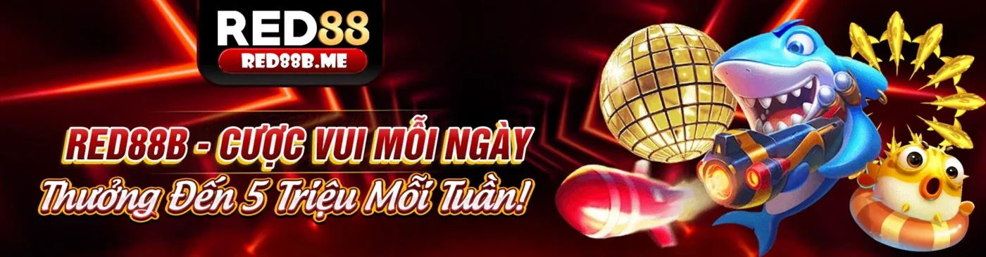 Giao diện thân thiện của ứng dụng dk88 code